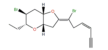 Japonenyne B